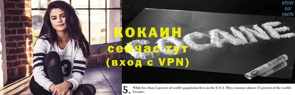 стаф Карталы
