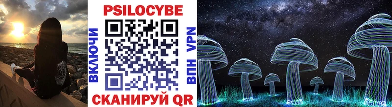 Купить закладки  Бузулук  Псилоцибиновые грибы Cubensis 